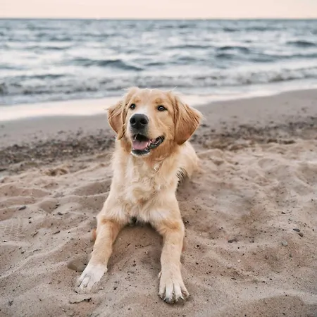 Boddendeck 5-sterne Im Yachtclub-stil * Wustrow (Fischland)